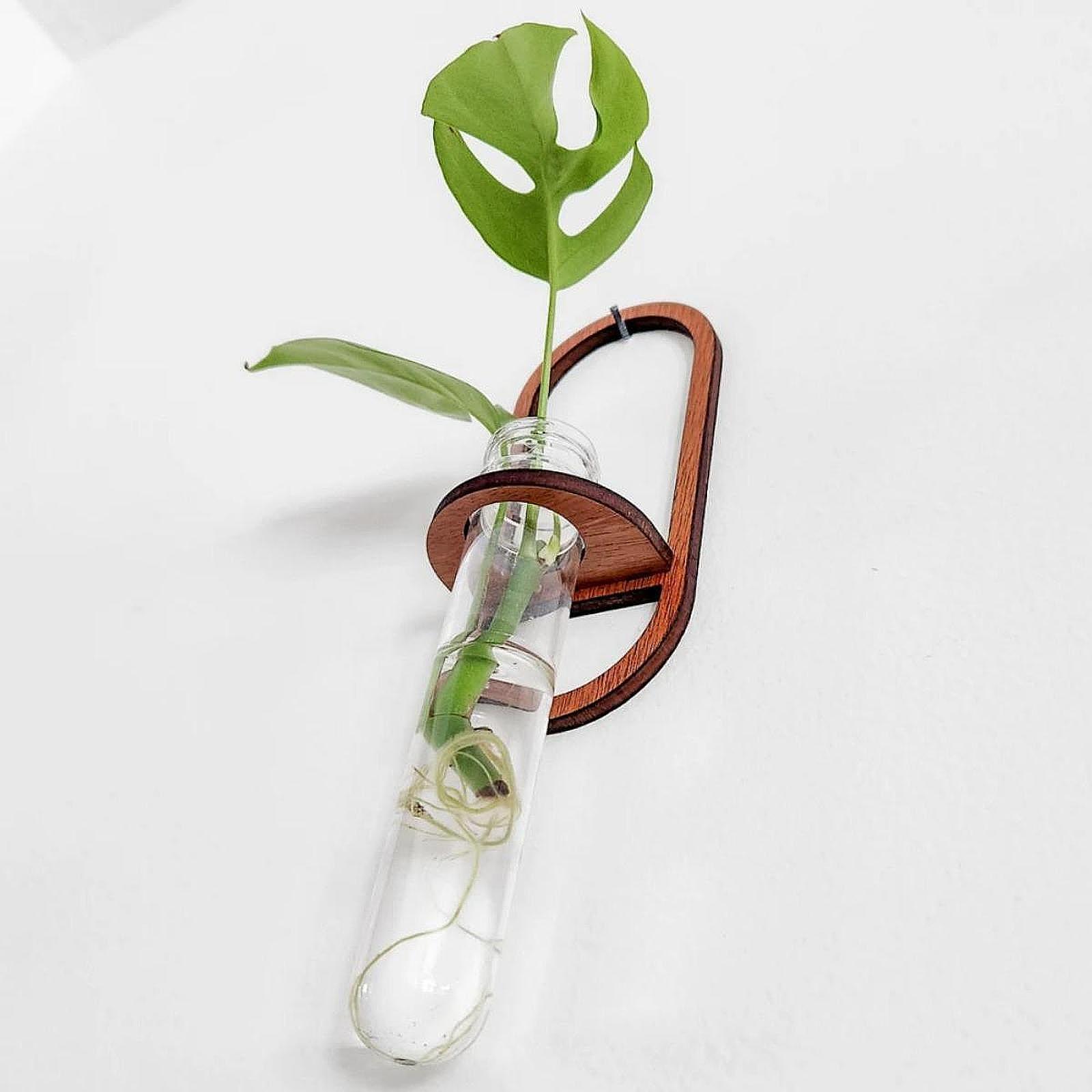 Hydroponic Plant Vase Wooden W - đánh giá và giá Propagation Station Vase