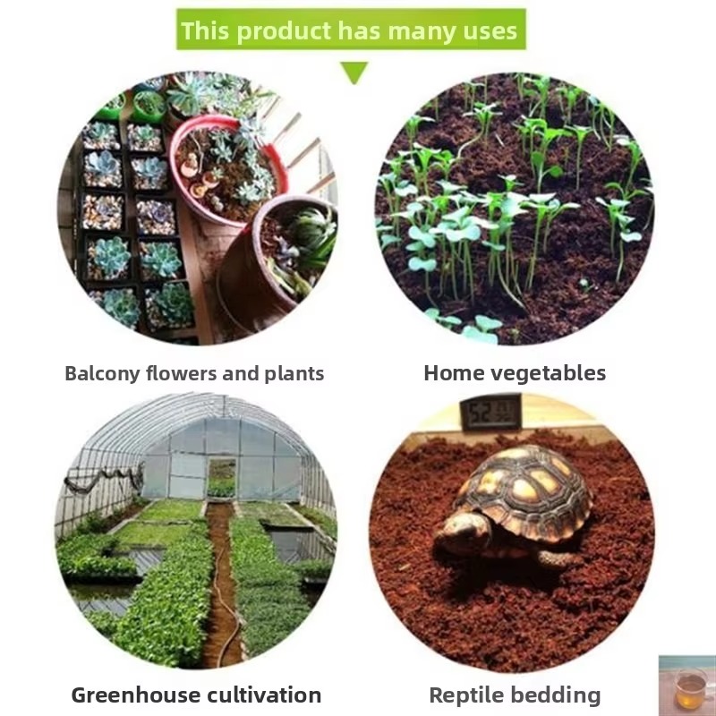 Reptile Bedding Compressed Coc - đánh giá và giá Sphagnum Moss Dry