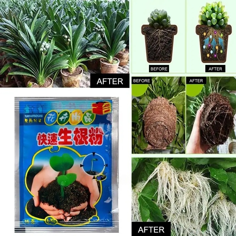 5pcs Fast Rooting Powder Plant - đánh giá và giá Root Stimulator Liquid