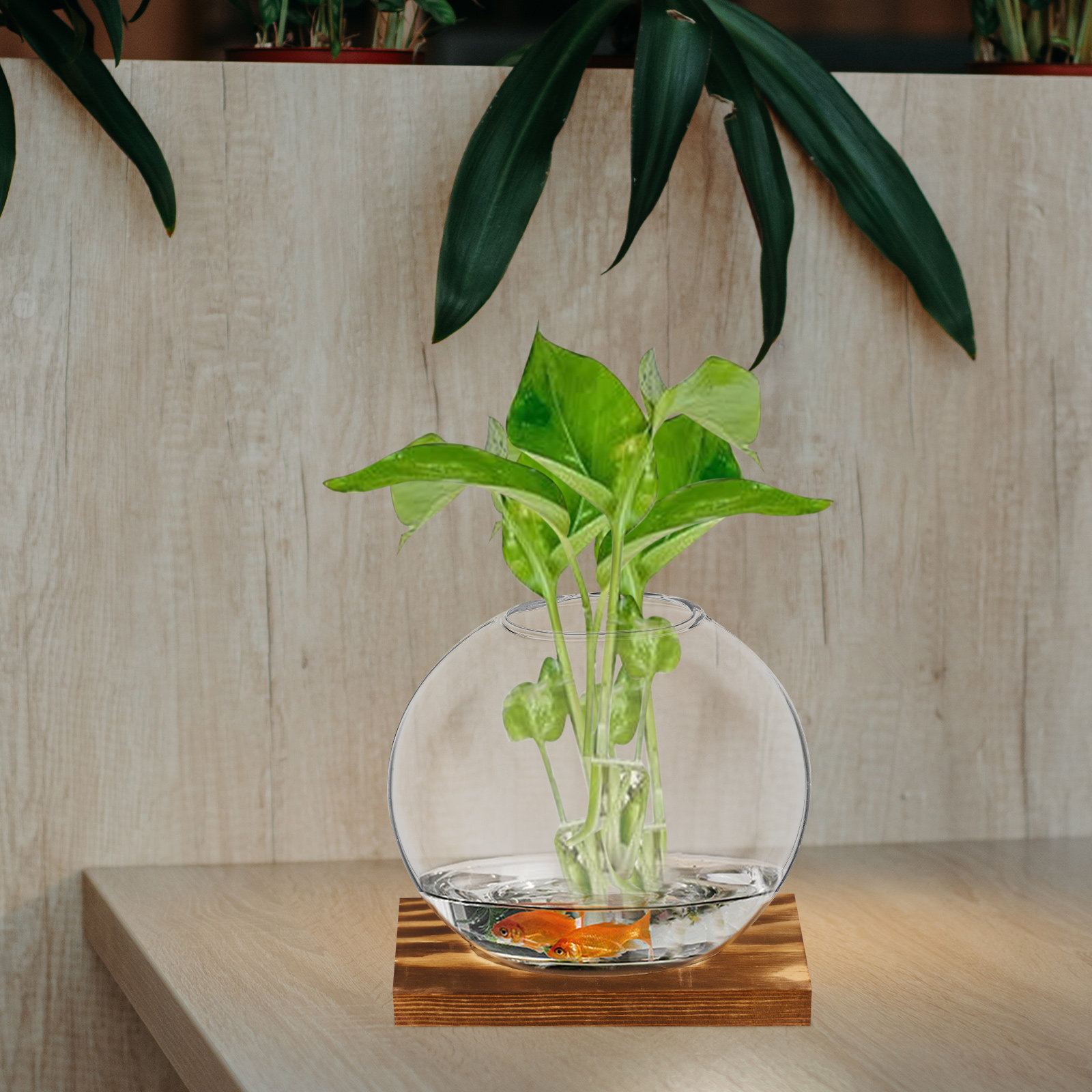 2Sets Glass Small Plant Vase F - đánh giá và giá Propagation Station Vase