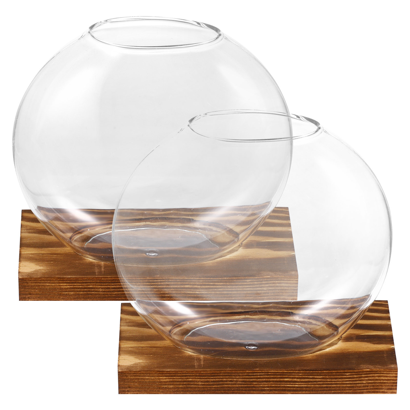 2Sets Glass Small Plant Vase F - đánh giá và giá Propagation Station Vase